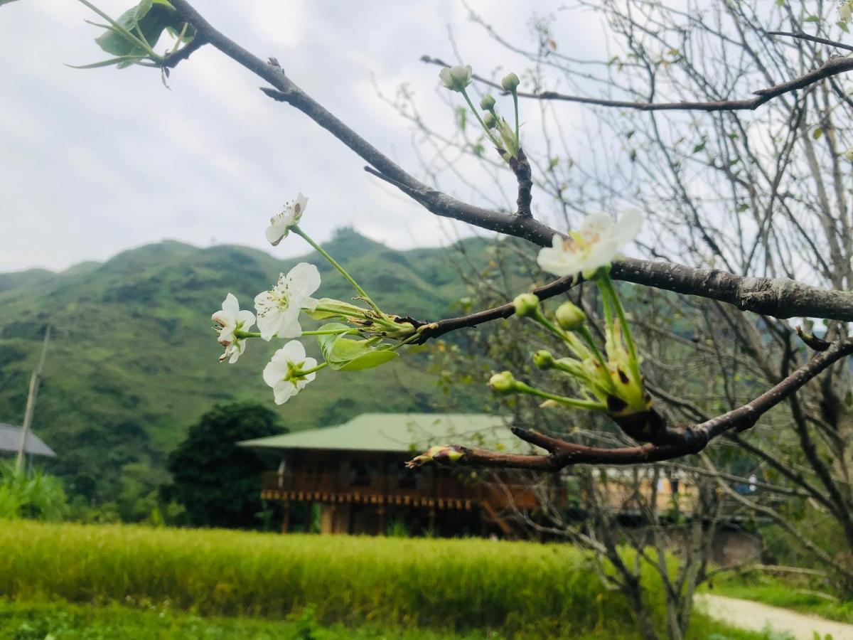Wild Orchid- Lan Home Lang Cac ภายนอก รูปภาพ