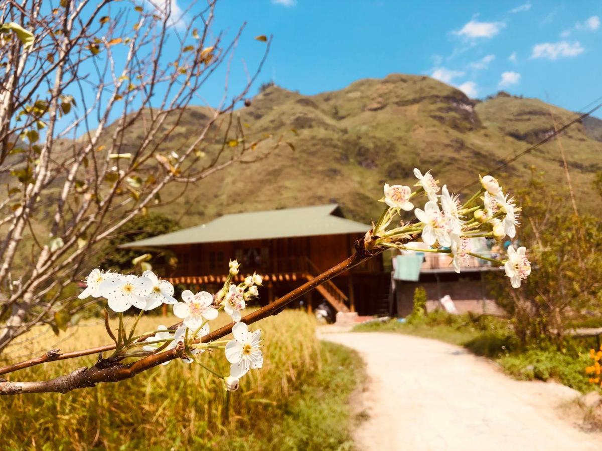 Wild Orchid- Lan Home Lang Cac ภายนอก รูปภาพ
