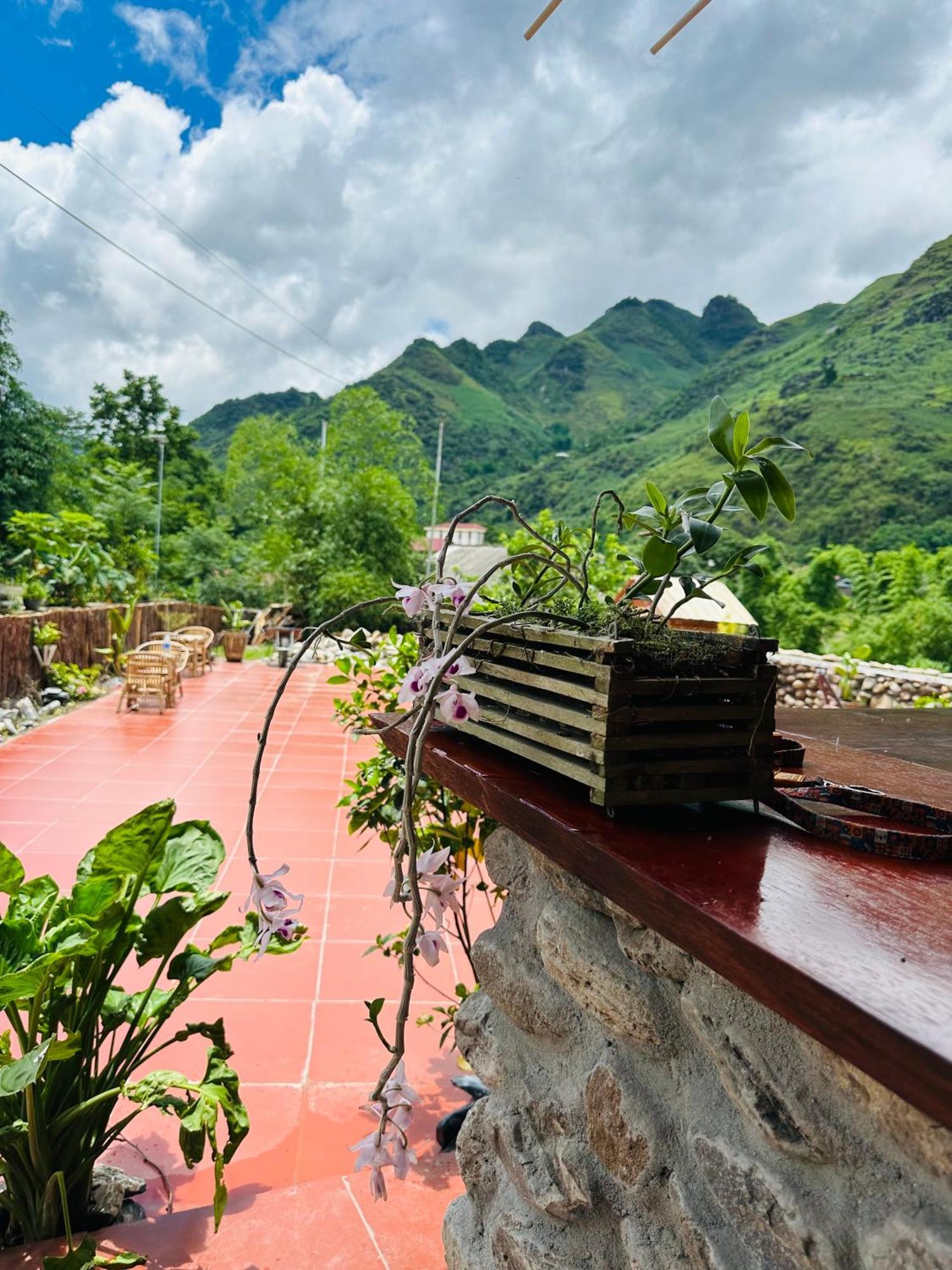 Wild Orchid- Lan Home Lang Cac ภายนอก รูปภาพ