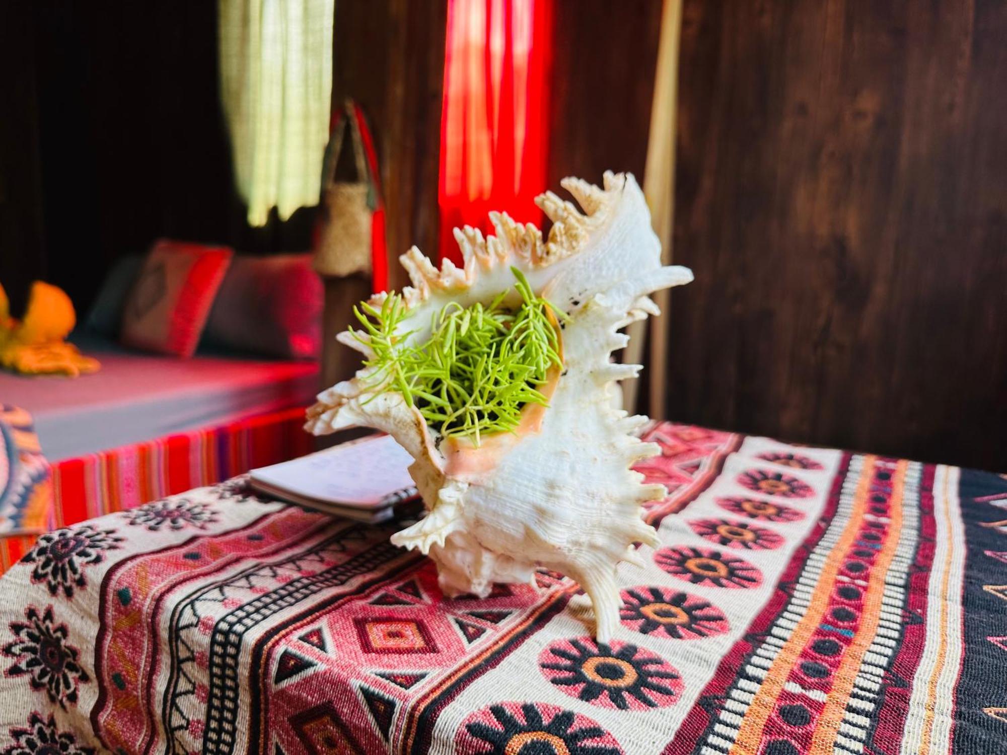 Wild Orchid- Lan Home Lang Cac ภายนอก รูปภาพ